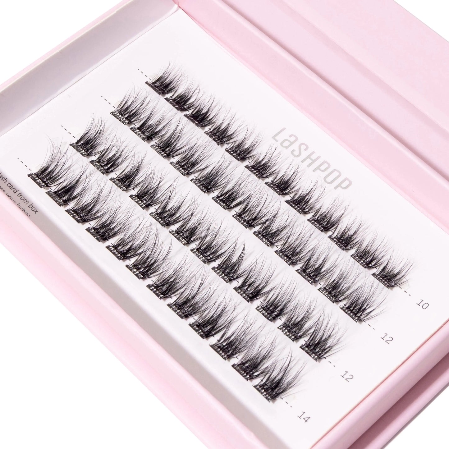 Place & Press Pre glued Lashes - Elite - LASHPOP