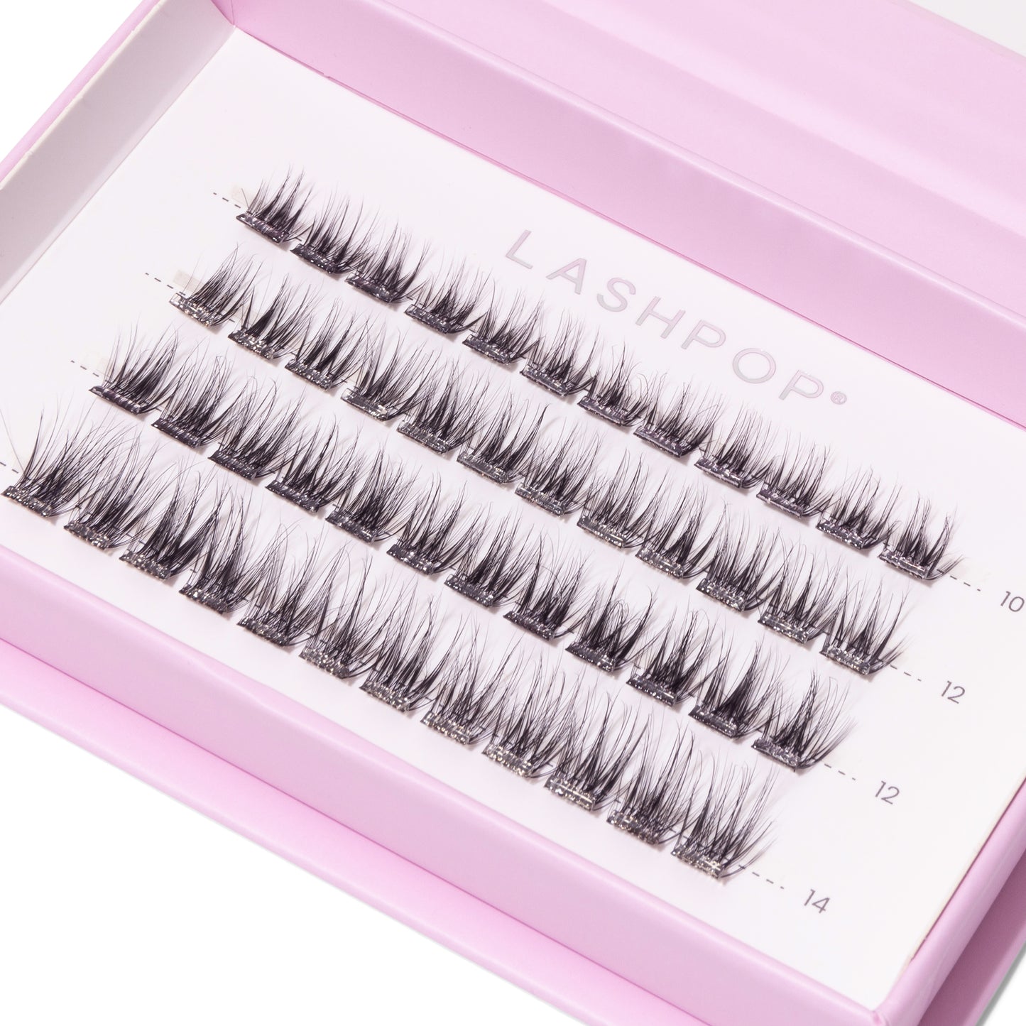 THE COMPLETE LASH KIT