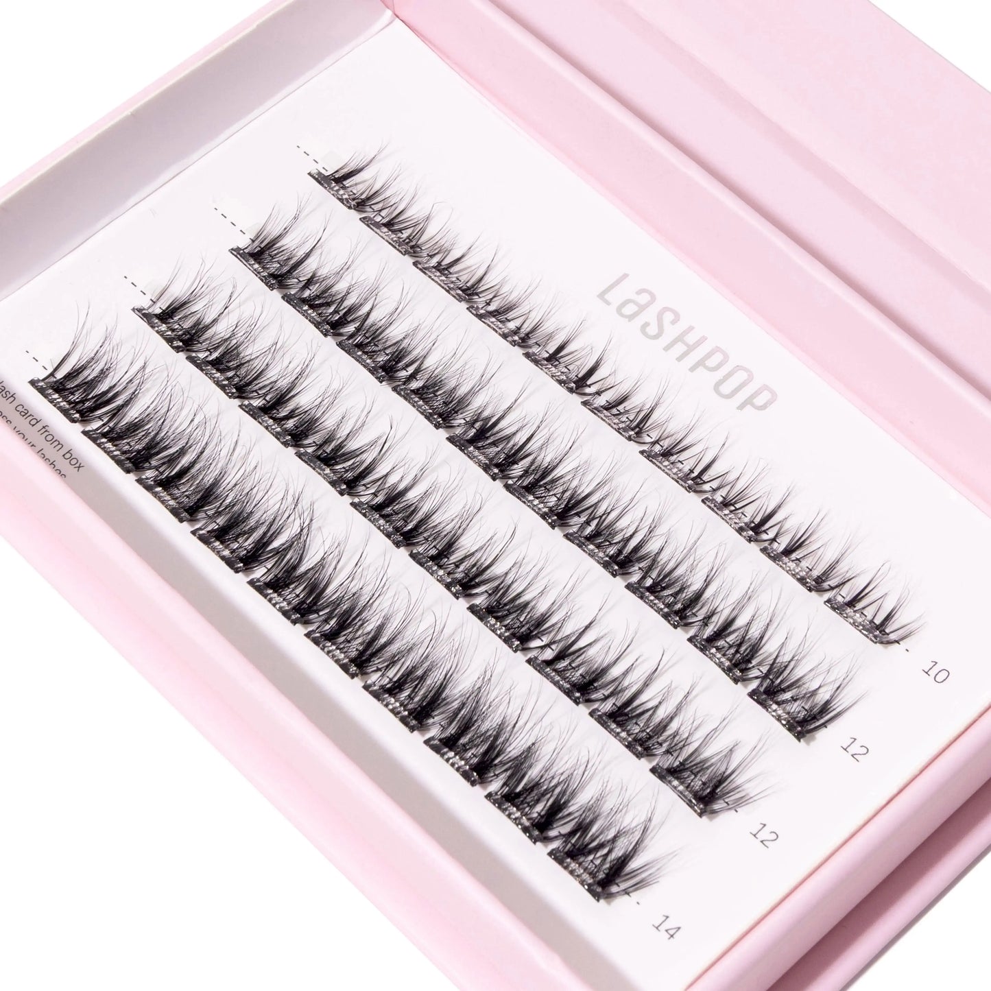 Place & Press Pre glued Lashes - Enchant - LASHPOP